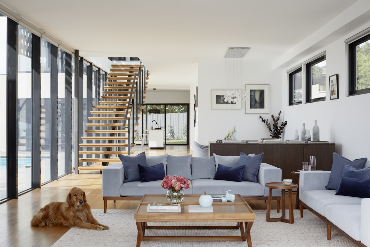 Double-volume lounge with floating timber staircase